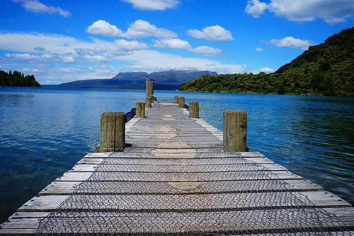 Immerse yourself in stunning landscapes as you stroll along peaceful lakefronts. Encounter pristine waters and lush greenery perfect for relaxation and unique photography opportunities in Rotorua's scenic beauty.